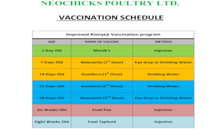 Improved Kienyeji chicken vaccination schedule