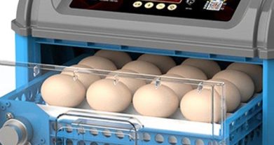 Benefits of Automatic Incubators